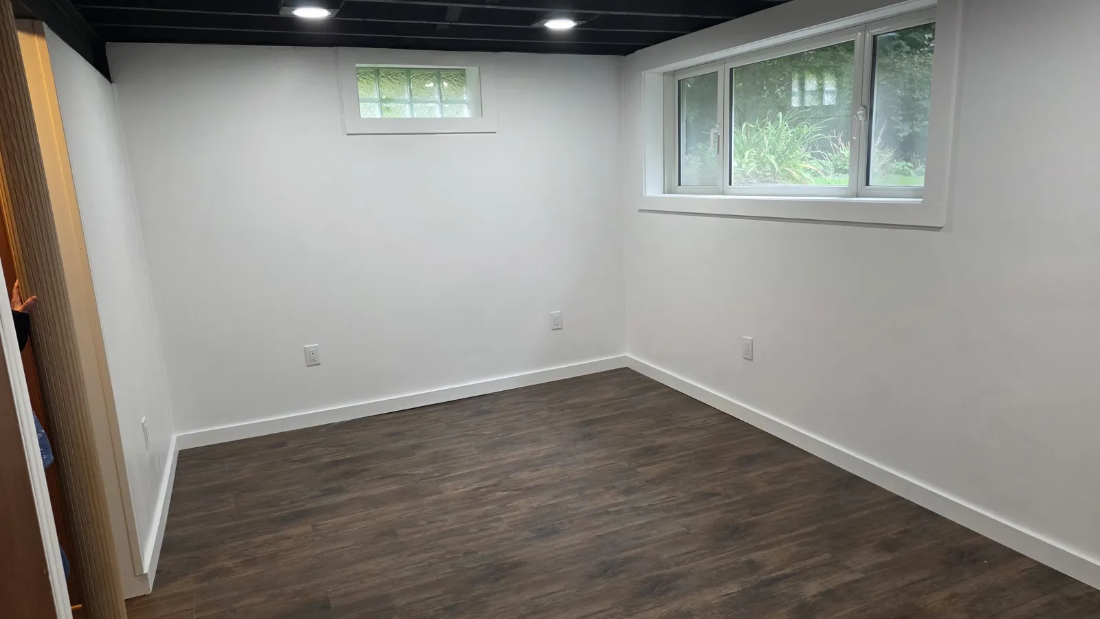 Finished basement room with plank flooring and windows